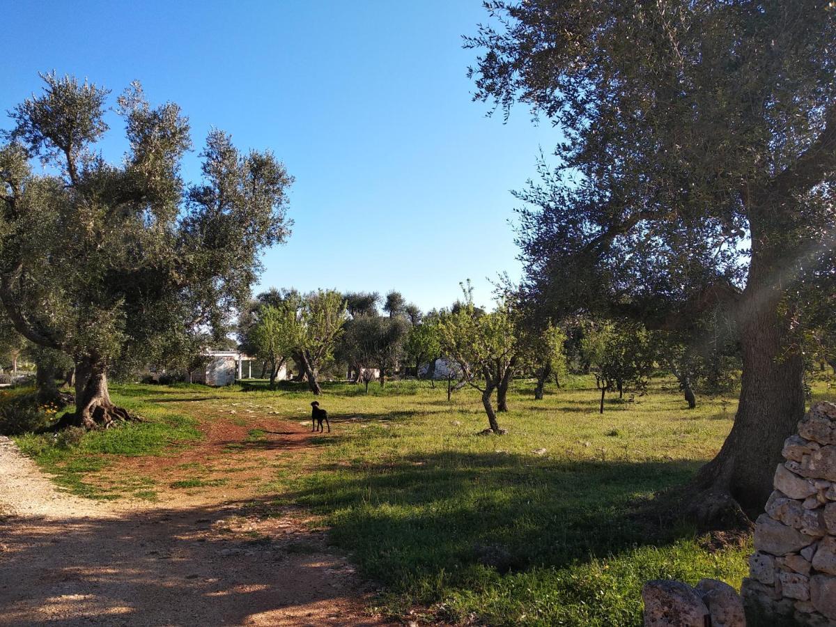 Piccolo Trullo Ostunese Le Jardin De Sophie' Остуні Екстер'єр фото