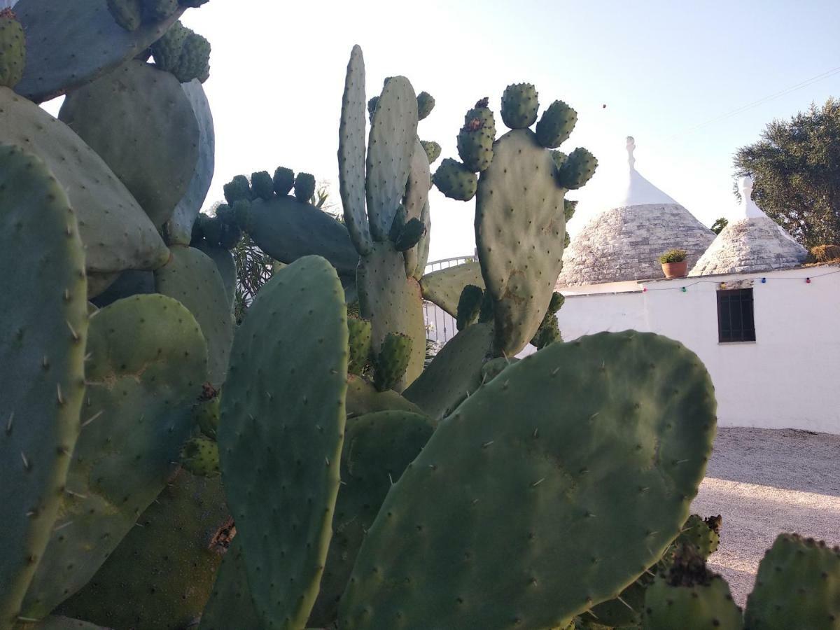 Piccolo Trullo Ostunese Le Jardin De Sophie' Остуні Екстер'єр фото